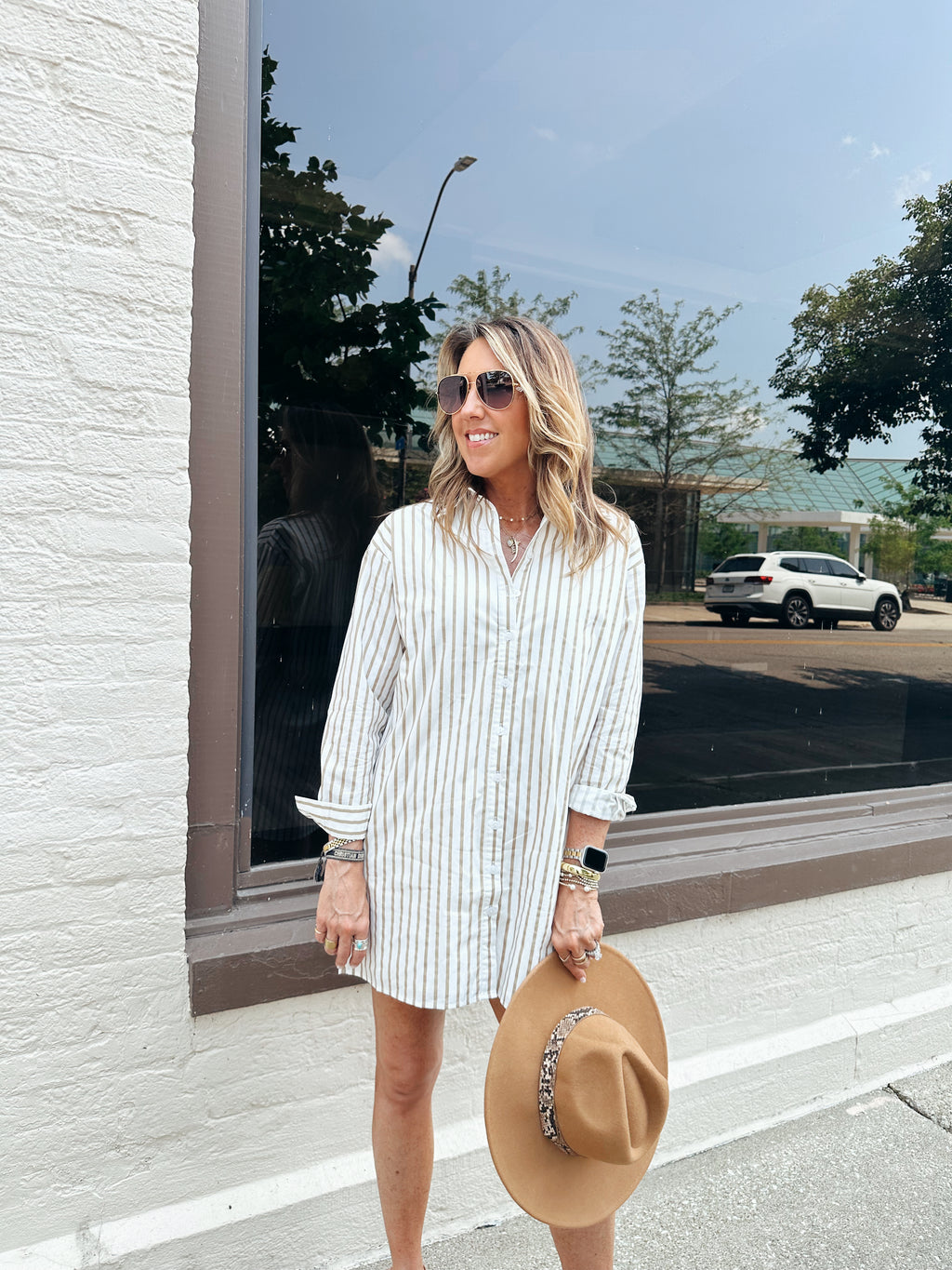 Meredith Striped Shirtdress