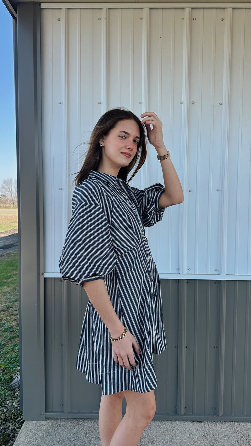 Denim Striped Mini Dress